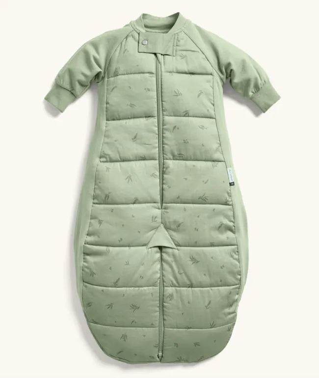Sleep Suit Bag 2.5 TOG