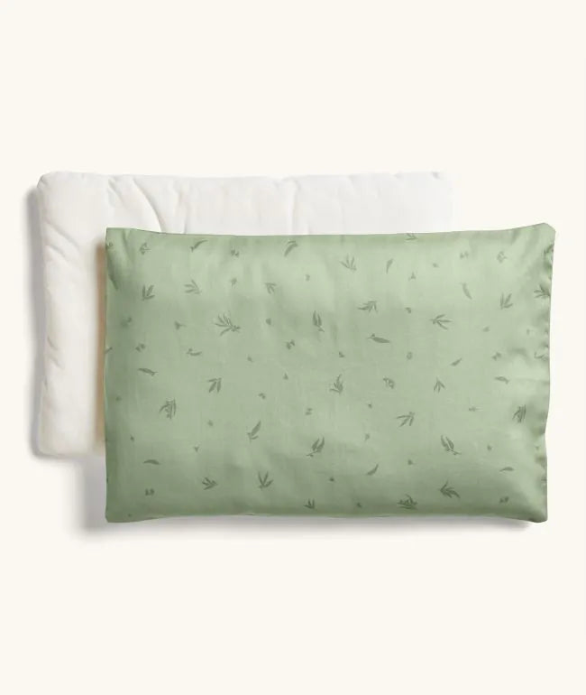 Organic Toddler Pillow With Case