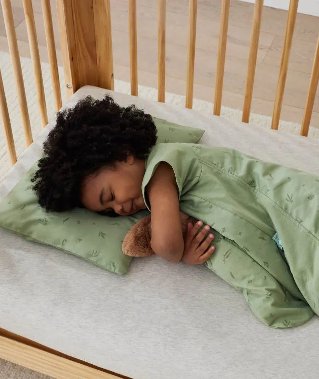 Organic Toddler Pillow With Case