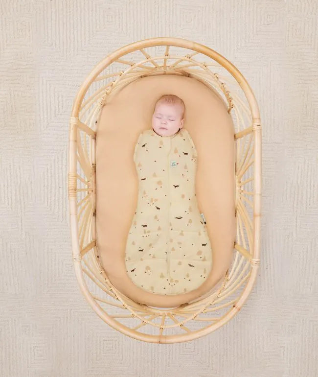 Cocoon Swaddle Bag 2.5 TOG
