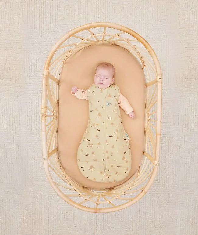 Cocoon Swaddle Bag 2.5 TOG