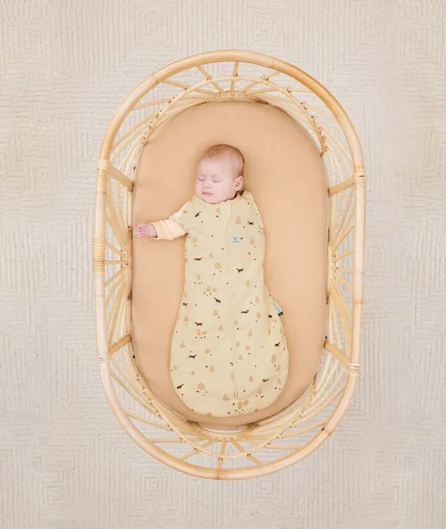 Cocoon Swaddle Bag 2.5 TOG
