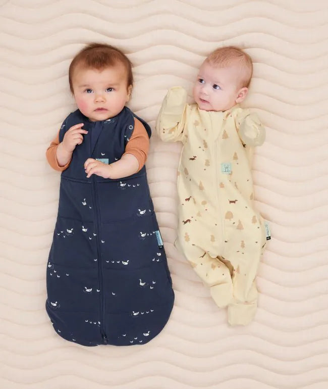 Cocoon Swaddle Bag 2.5 TOG