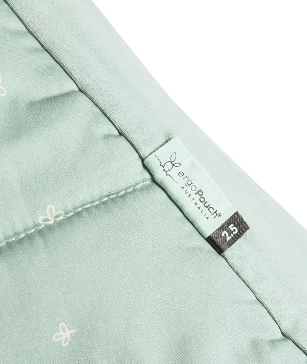 Sleep Suit Bag 2.5 TOG