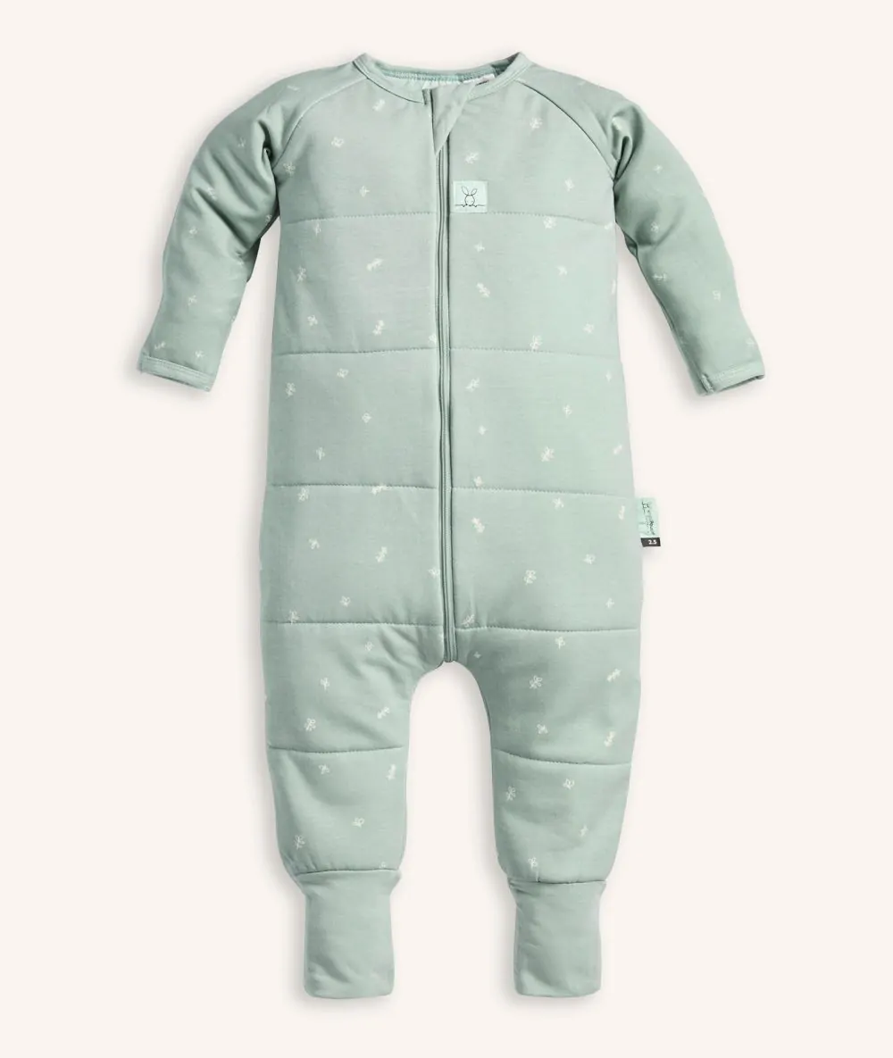 Sleep Onesie 2.5 TOG