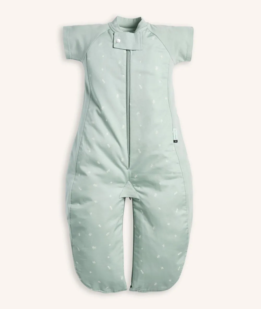 Sleep Suit Bag 1.0 TOG