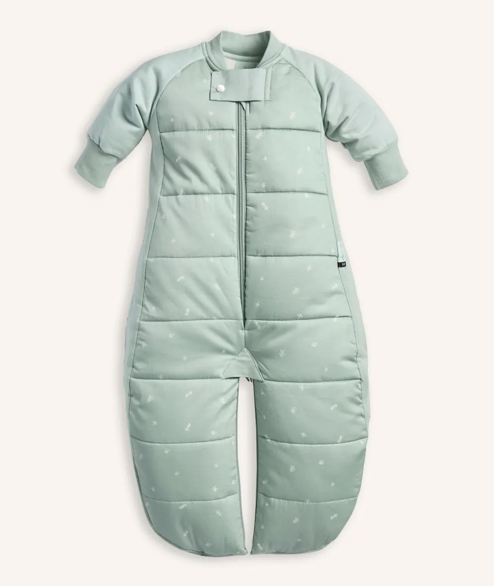ergoPouch Sleep Suit Bag 2.5 TOG KIDS BANDWAGON