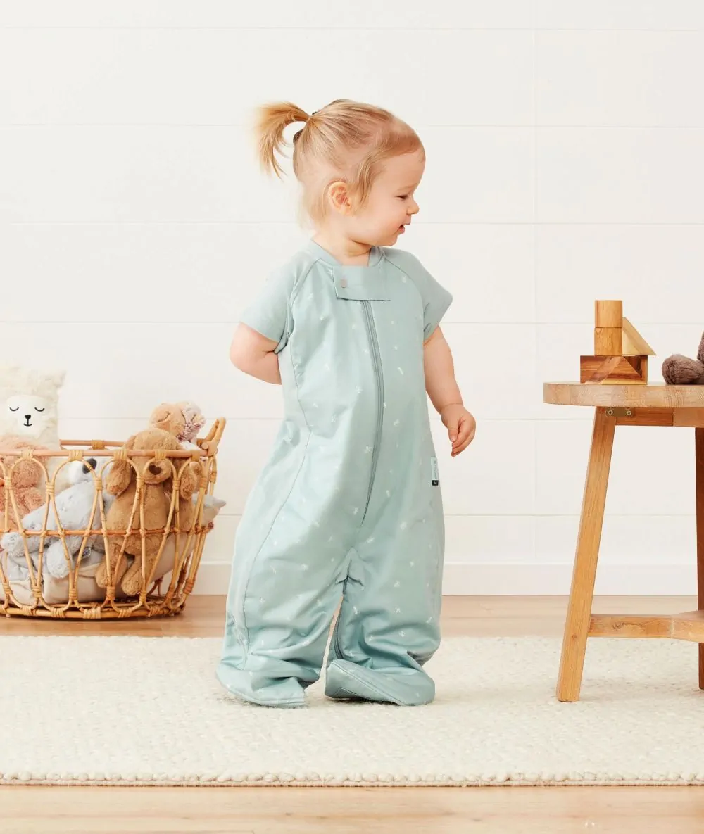 Sleep Suit Bag 1.0 TOG