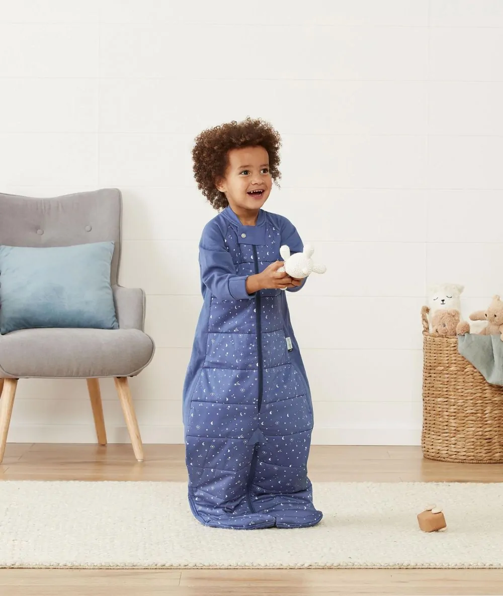 ergoPouch Sleep Suit Bag 2.5 TOG KIDS BANDWAGON