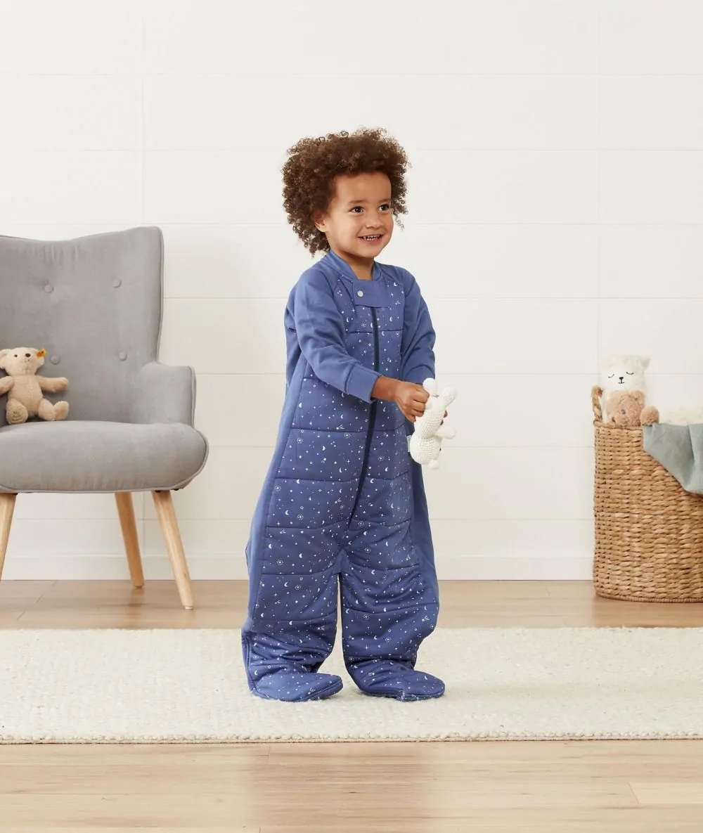 Ergopouch 2.5 tog sleep suit hotsell