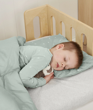 Organic Toddler Pillow Case